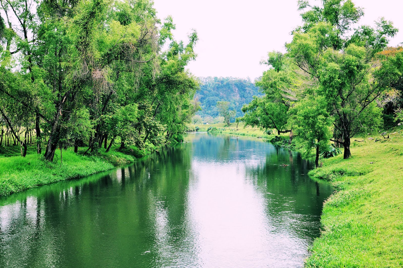 Guía Top Visual ¡Vamos! | 5 áreas naturales protegidas de Veracruz