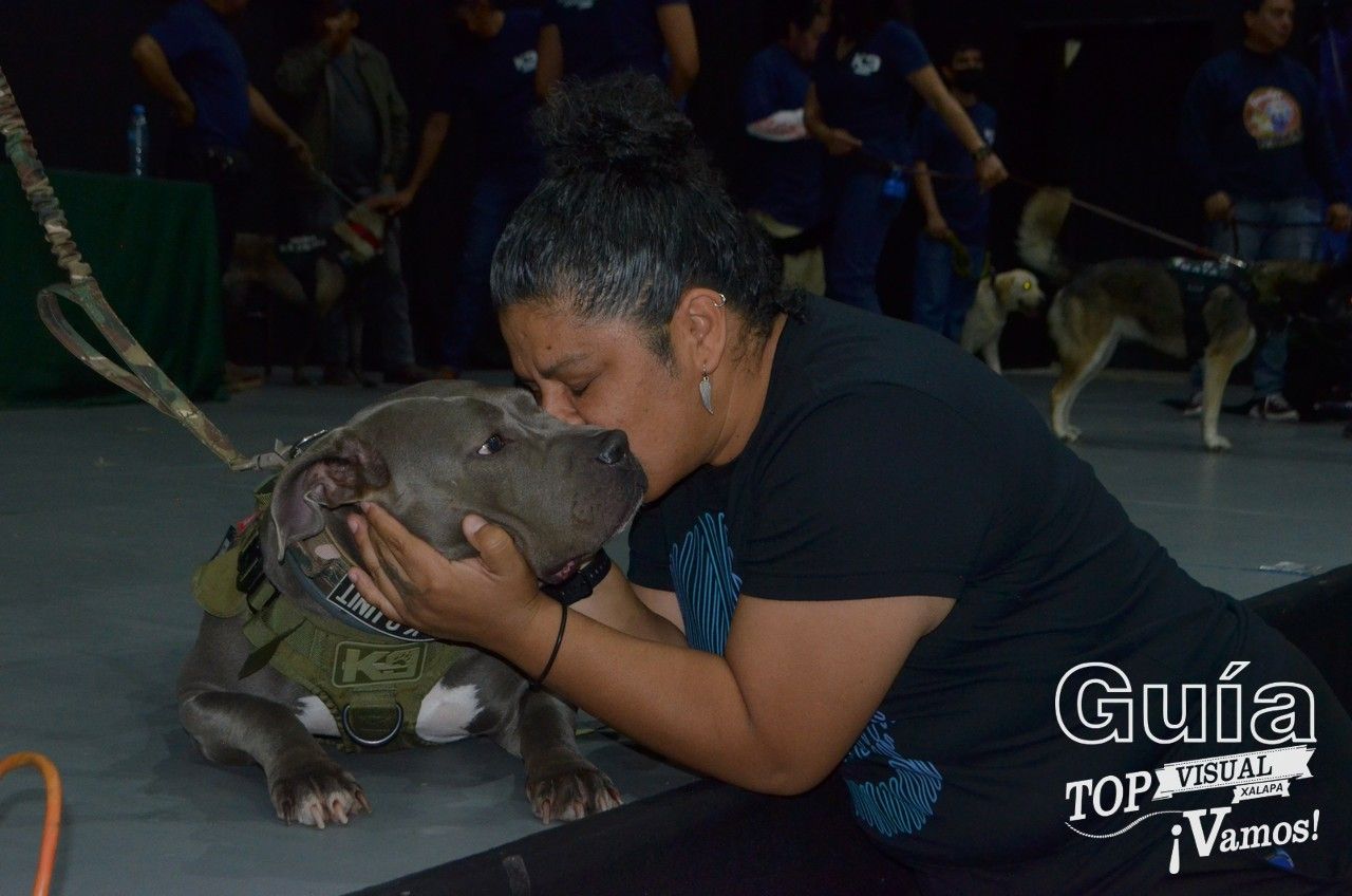 Alevka rompe esquemas: la heroína inesperada en el mundo SAR‑K9
